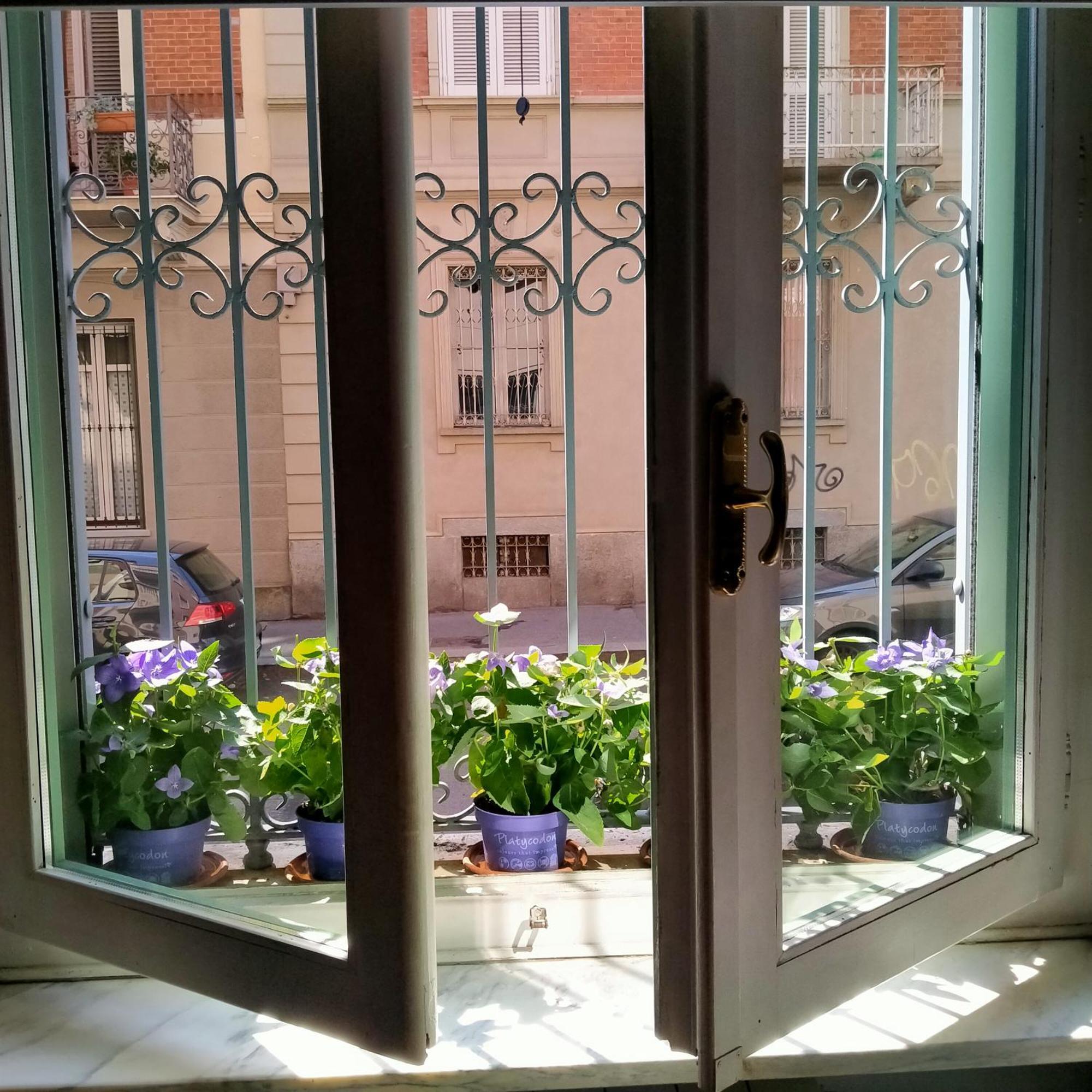 La Graziosa Torino, Porta Susa Esterno foto